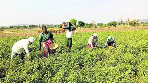 భూమి 