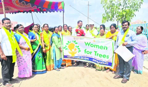 అమ్మ పేరుతో ఒక మొక్క!