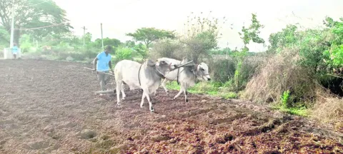 ఎదురు