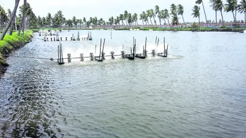 ఆక్వా