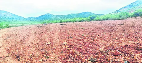డేగల 