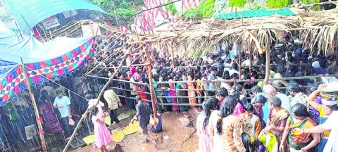 మద్ది