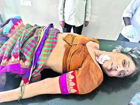 పుష్కరాలకు వెళ్తూ...తిరిగిరాని లోకాలకు 