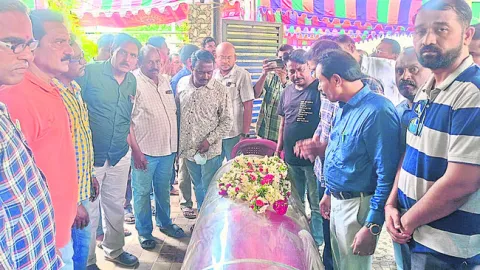 సీనియ