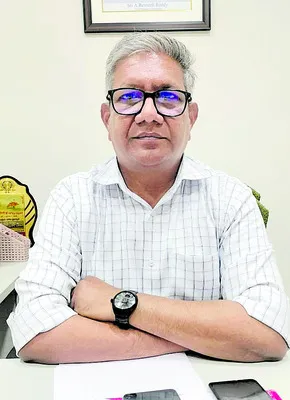 పచ్చిరొట్టతో నాణ్యమైన దిగుబడి