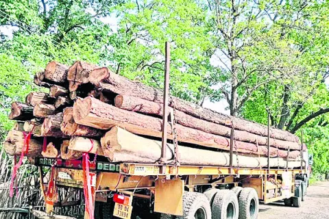 రథ నిర్మాణ పనులకు కలప కొరత