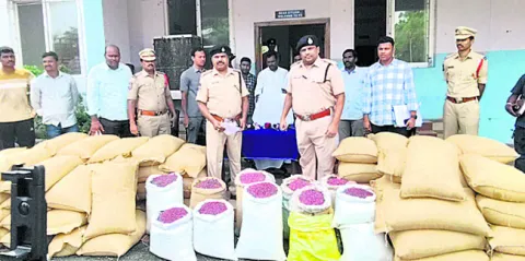 గుట్టలుగా డంప్‌!