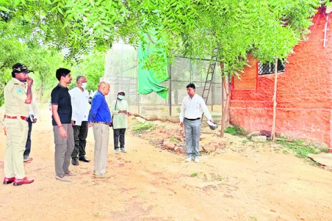 ఘాట్‌