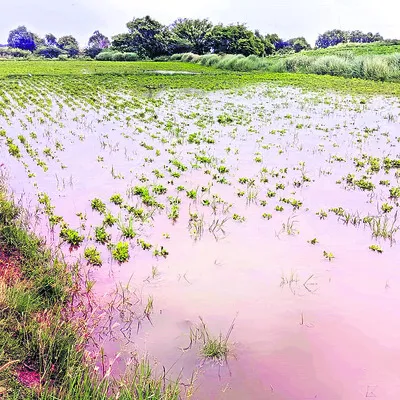 అన్నద