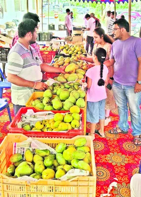 సేంద్రియ మామిడి మేళాకు స్పందన 