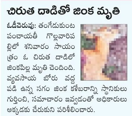 ఏలుకు