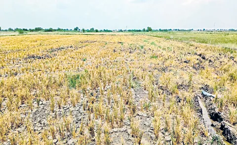 Farmers threatened in the name of setting up solar power plants Nandyal1