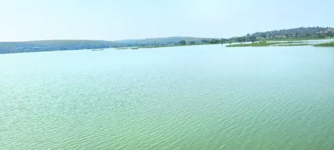 పరిహా