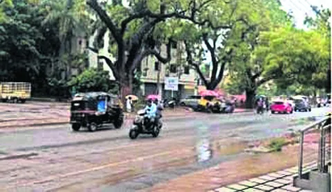 భారీ 