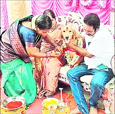 ఔరా.. పెంపుడు శునకంకు బేబీ షవర్‌ 