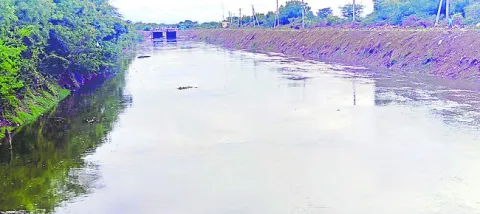 కురిచేడు చేరిన సాగర్‌ జలాలు