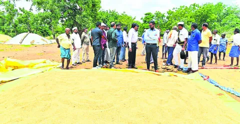 ధాన్యం కొనుగోళ్లు వేగవంతంగా చేయాలి