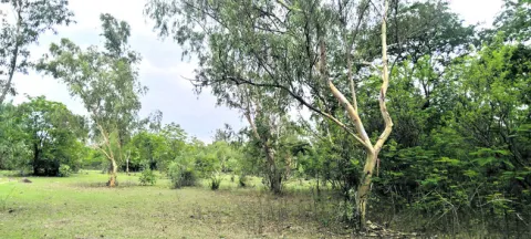 పరిరక్షణ కోసం పోరుబాట