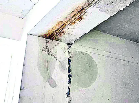 ప్రార