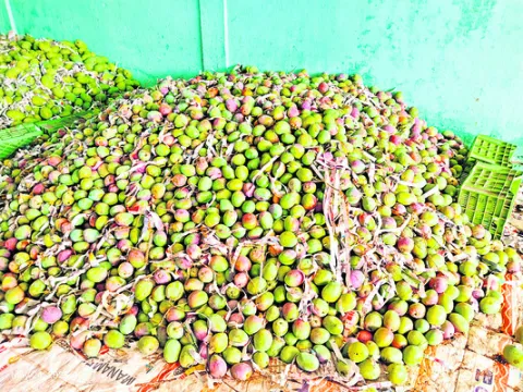 పొట్టకొట్టారు.. వీధిలోకి నెట్టారు!
