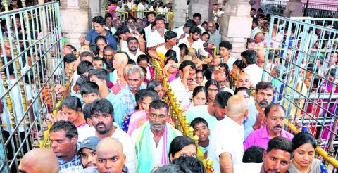 నామమాత్రంగా విత్తన కేటాయింపు 