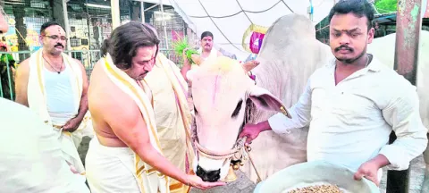 మల్లన్న సేవలో  సినీ హీరో అర్జున్‌ 