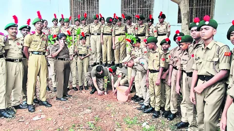మొక్కలు నాటి సంరక్షించండి 