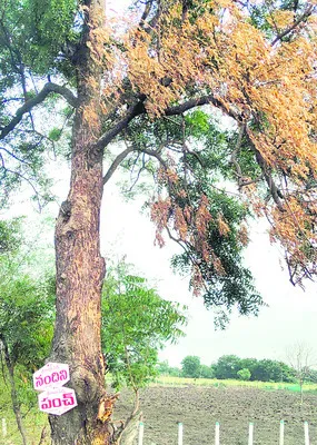 మేకులు కొట్టి.. బ్యానర్లు కట్టి! 