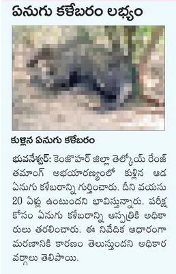 సోషల్