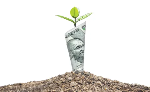 Government banks as support for cultivation