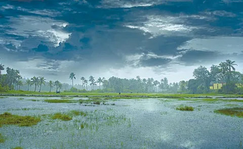 Southwest monsoon reaches Andhra Pradesh