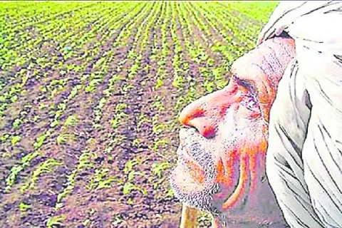 ముందస్తుగానే రుతుపవనాలు