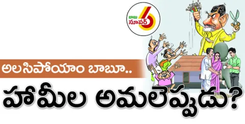 హామీల