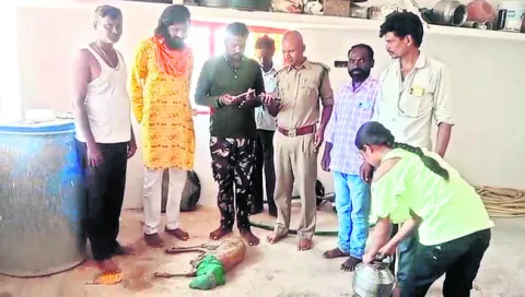 వైద్య