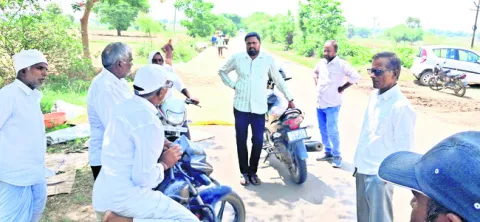 విద్య