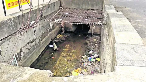 నోరు 