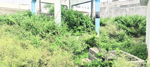 నీళ్ల