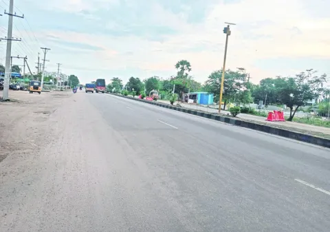 మొక్కలను మింగేశారు..!