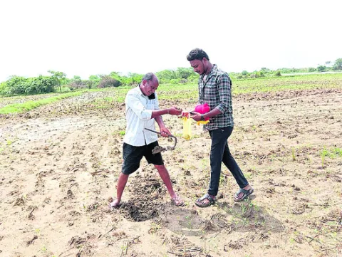 భూసార