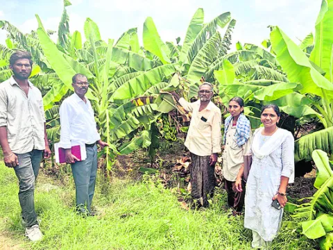 ఉద్యా