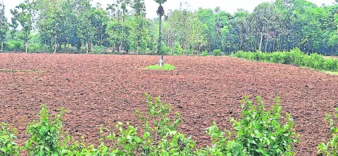 దర్జా