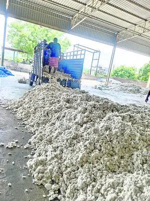 జిన్నింగ్‌ మిల్లుల్లో   పత్తి కొనుగోళ్లు 