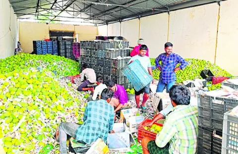 మామిఢల్‌ 