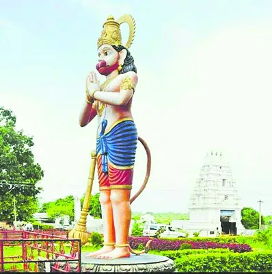 పట్టా