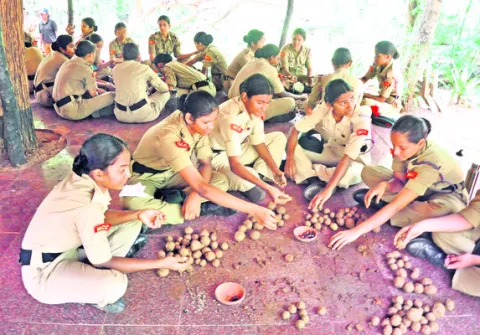జూలో 