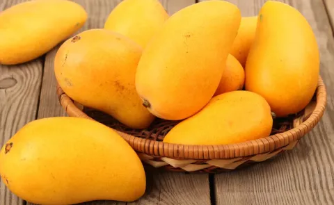 Mango online sales in Hyderabad interesting facts12