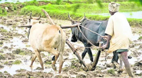 ముందస