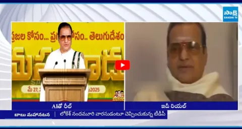 NTRs Real Vs Real Comments On Chandrababu 1