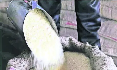 మూడు నెలల కోటా.. ఒకేసారి