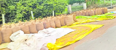 సారూ.